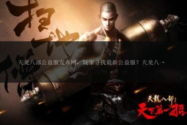 天龙八部公益服发布平台：信息集中与潜在安全风险解析